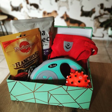 Akcesoria i karma dla psów