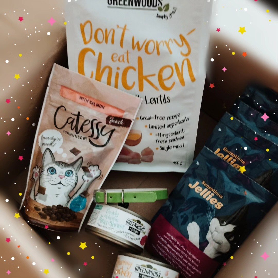 Smakołyki i karma dla zwierząt w pudełku